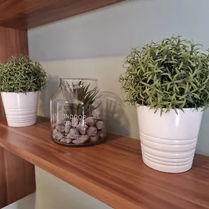Tony Apartman Rovinj